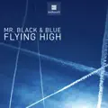 Flying High