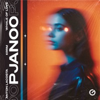 Pjanoo - Single - Anton Lacosta, KRRM & Whale Of Love