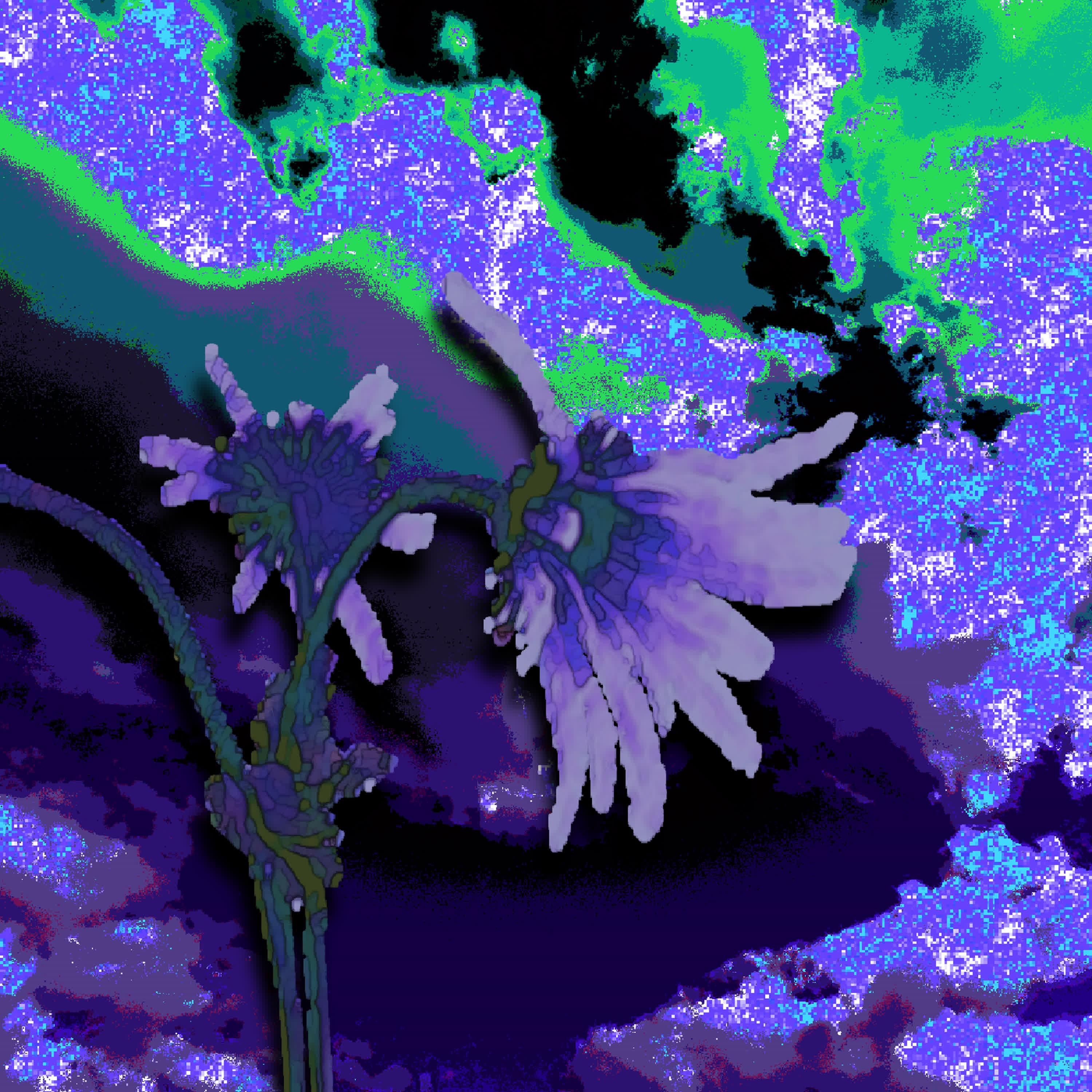 Magenta - The Empress