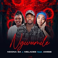 Ngivumile - Single - BEYOND CLICHE RECORDS
