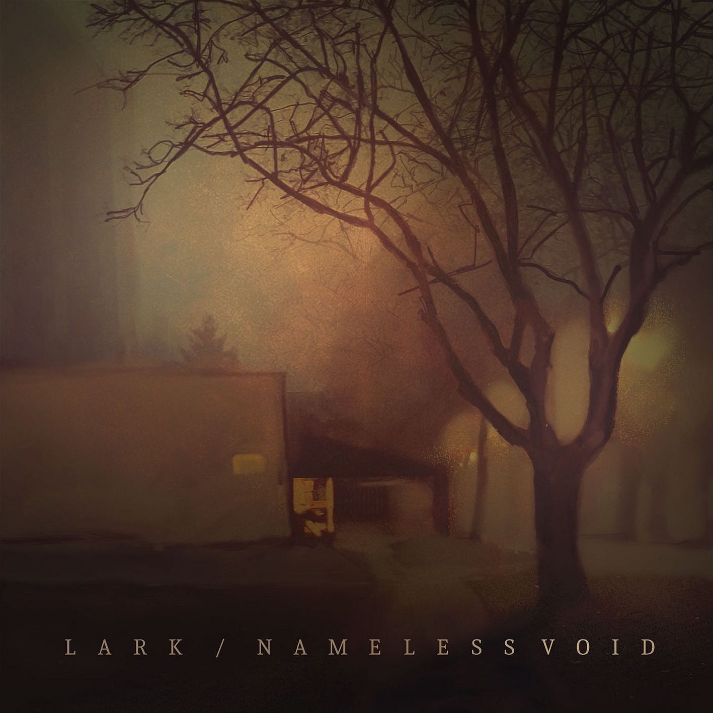 Nameless Void