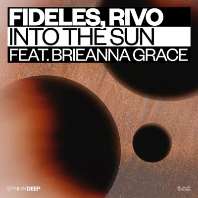 Into The Sun (feat. Brieanna Grace) - Single