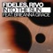 Into The Sun (feat. Brieanna Grace) - Fideles & Rivo lyrics