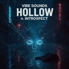 Hollow Vibe Sounds & Introspect