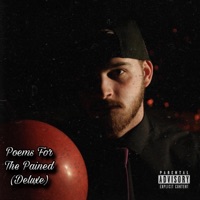 Poems For The Pained (Deluxe) - gross