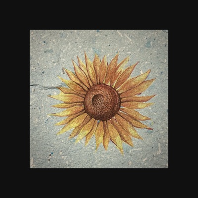 DØD SOLSIKKE (Instrumental) - Single