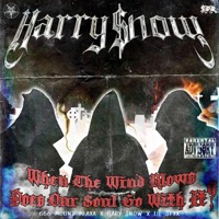 WHEN THE WIND BLOWS DOES OUR SOUL GO WITH IT - Single - HARRY $nOW & Lil$tyx