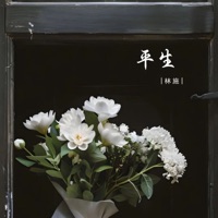 平生 - Single - 林施