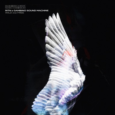 Wild and Free - Single