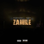 Zamile (feat. Reaperr) - Single