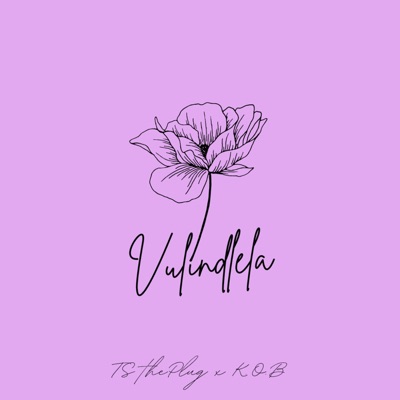 Vulindlela - Single