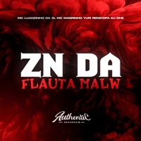 Zn da Flauta Malw (feat. Mc Magrinho & Yuri Redicopa) - Single - DJ DHZ & MC Luanzinho da ZL