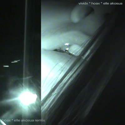 hoax (Elle Akosua Remix) - Single