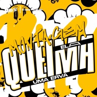 Montagem Ela Queima uma Erva - Single - DJ MT 087 & DJ ROMA