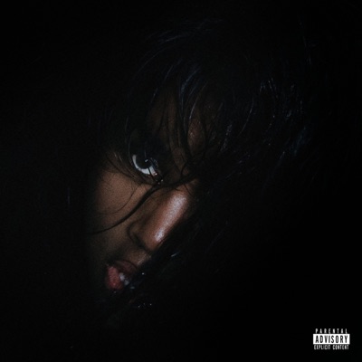 BITCH YOU COULD NEVER - Single