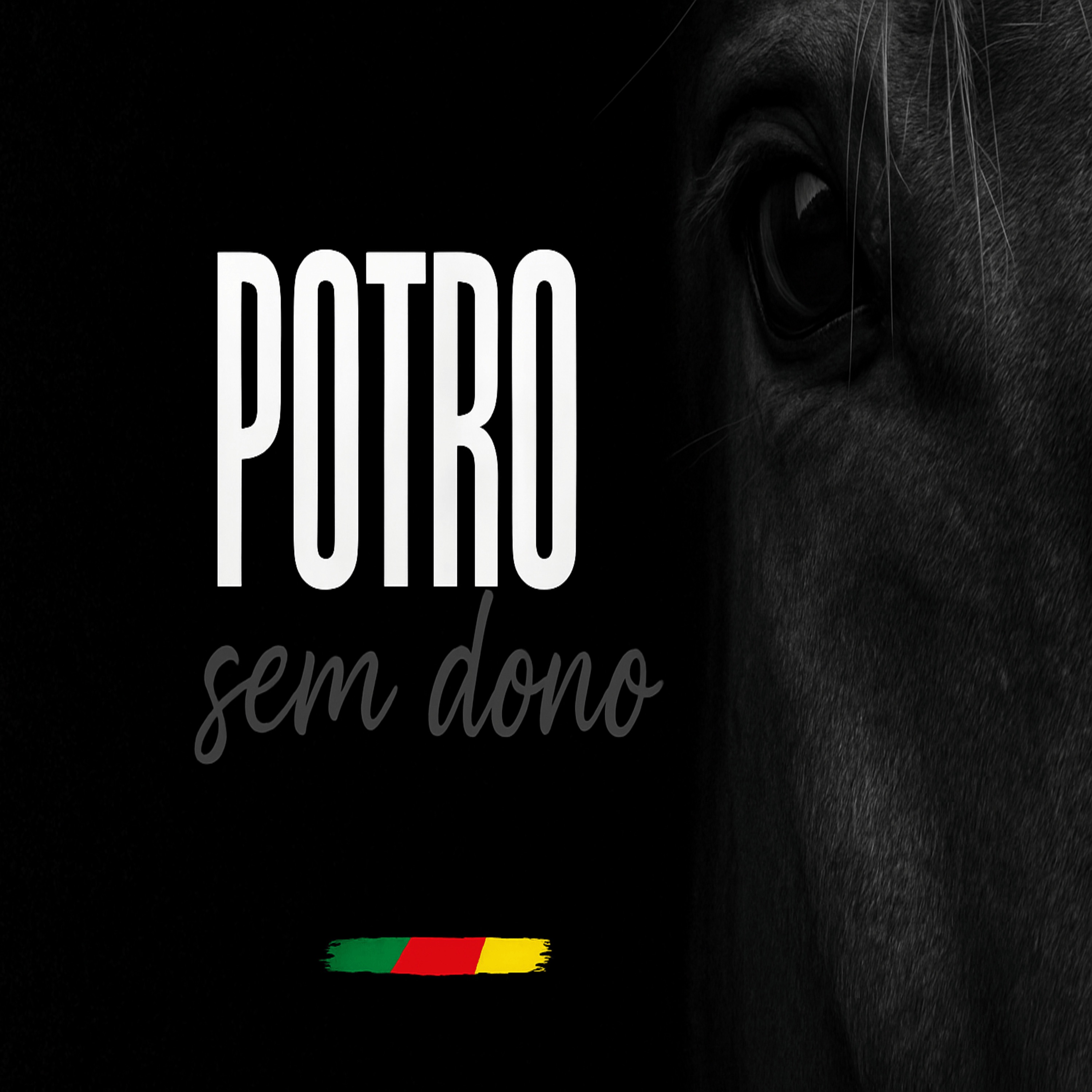 Grupo Oigalê - Potro Sem Dono | Grupo Oigalê (Comp: Paulo Portela Fagundes)