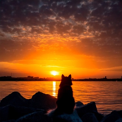 Ricardo Ayt - Já tem tudo Planejado