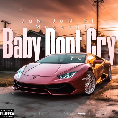 Baby Dont Cry (feat. Musashi_The_Way) - Single