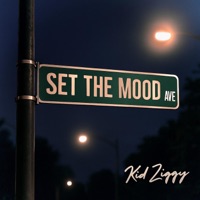 Set The Mood (Avenue) - Single - Kid Ziggy
