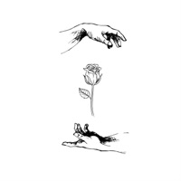 Wildflower - Single - Tawnted & Lucky Dog