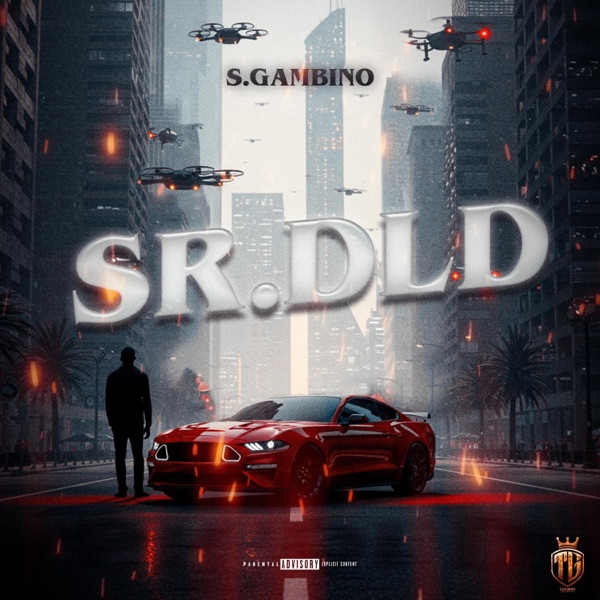SR.DLD (feat. S.Gambino)