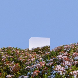 my only wish Swiftly