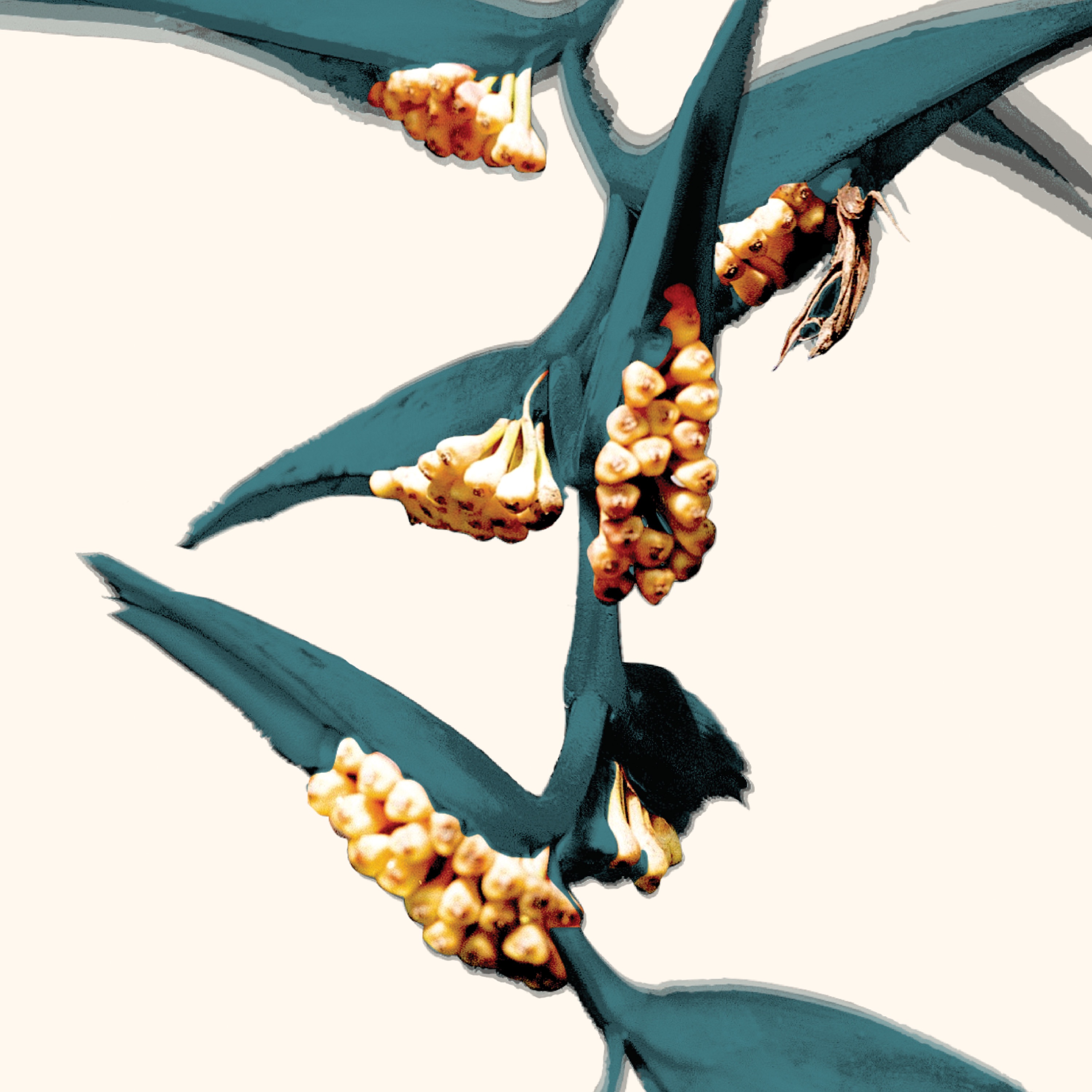 Space for Space - Single