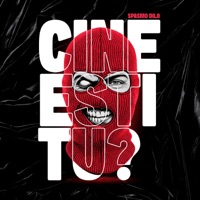 Cine esti tu? - Single - Spasmo Dilo
