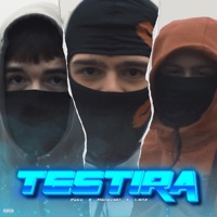 Testira (feat. Matevski & Lanz) - Single - Zeko