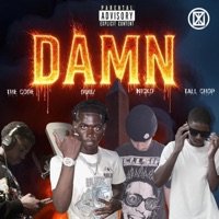 DAMN (feat. Dubz, Tall Chop & Nicko) - Single - The Code