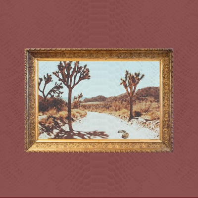 Foolish (feat. Djburnout420) - Single