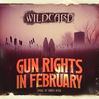 Gun Rights in February - Single - Wildcard