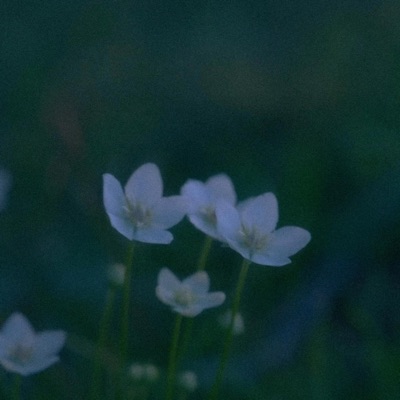 Hun bol shuwuu - Single