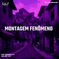 MONTAGEM FENÔMENO - Single - MC Priscilla, DJ Guiizinho & Mc RP VK