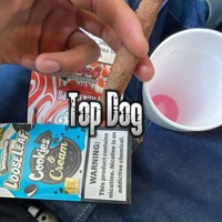 Top Dog (feat. Trofymarr) - Single - BlueStripJorge