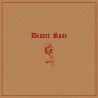 Desert Rose (Violin) - Single - Dramatic Violin