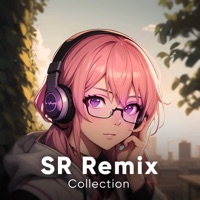 Sr Remix Collection (Remix) - EP - klorbot