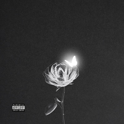 no se siente igual - Single