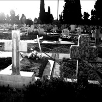 Solitario - Single - МЫ & Daniel Shake