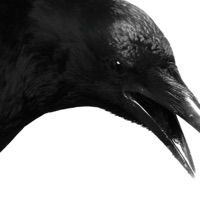 Pensando en mí (Stridah Remix) - Single - ill quentin