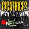 Cicatrices