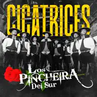 Cicatrices — Los Pincheira del Sur