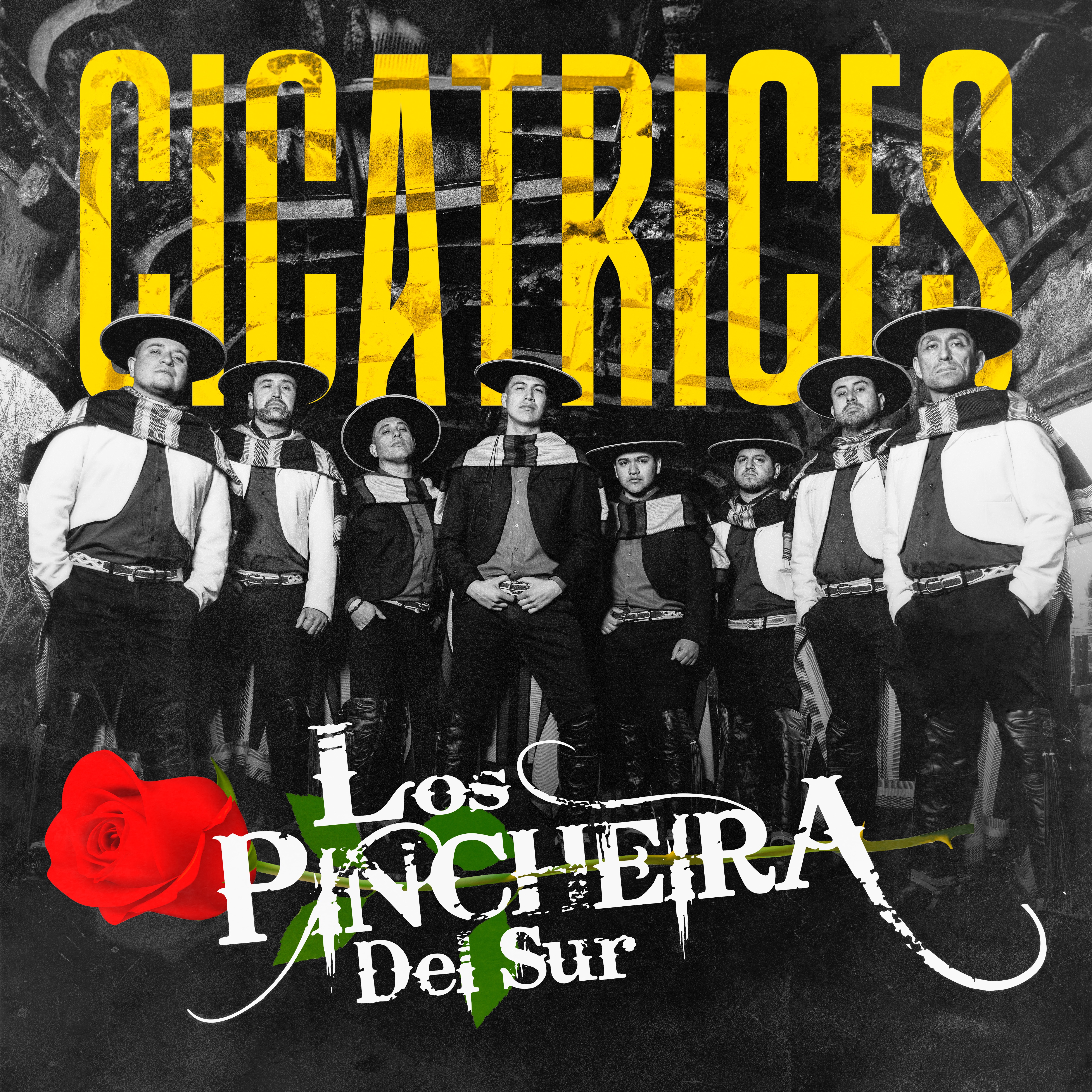 Cicatrices - Single