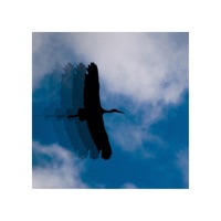 Moving out of space - Single - John Stone