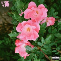 PYT (feat. Rockie Fresh) - Single - LOVETEDDY.
