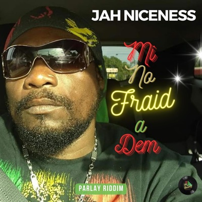 Mi No Fraid a Dem - Single