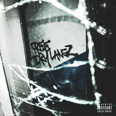 FREETORYLANEZ - Single