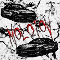 MOLOTOV (feat. $CAR22) - Single - DEIPVWTT