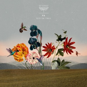 VA - Seis De Tres