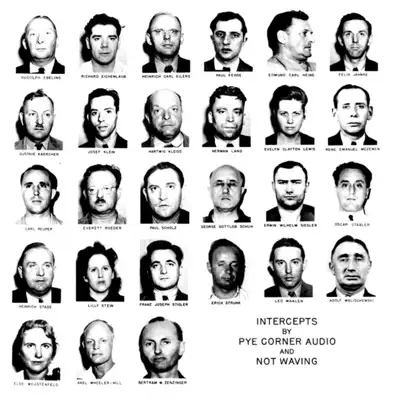 Listen to Intercepts by Pye Corner Audio & Not Waving